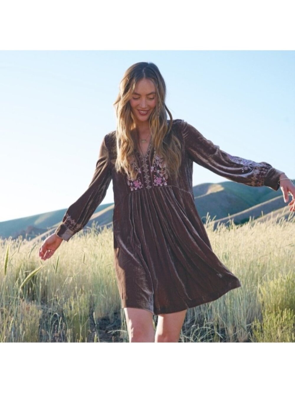NEW Sundance Bianca Embroidered Velvet Silk-Blend Mink Pink Popover Dress Small